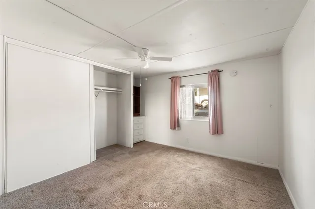 a view of backyard with large trees and plants