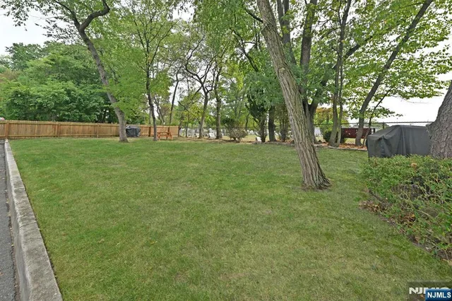 a view of a tree in a yard