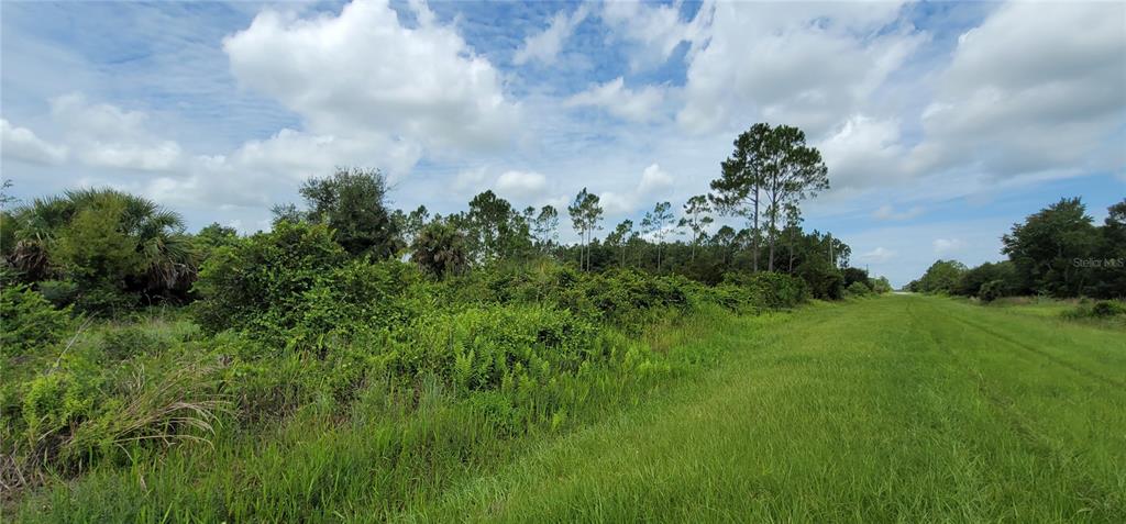 Northwest 268th Street Okeechobee, FL 34972 - Photo 1 of 33