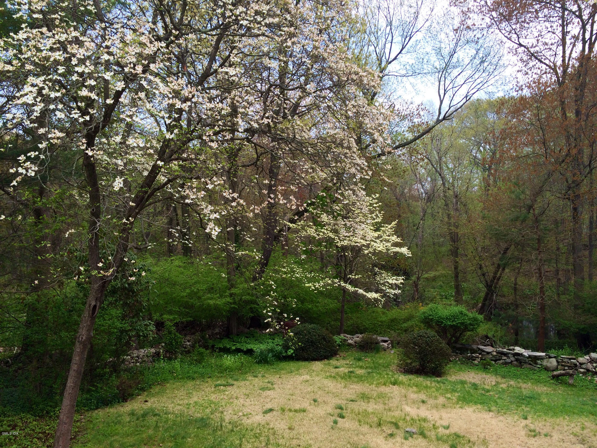 10 Florence Road Riverside, CT 06878 - Photo 1 of 3 a view of backyard with green space