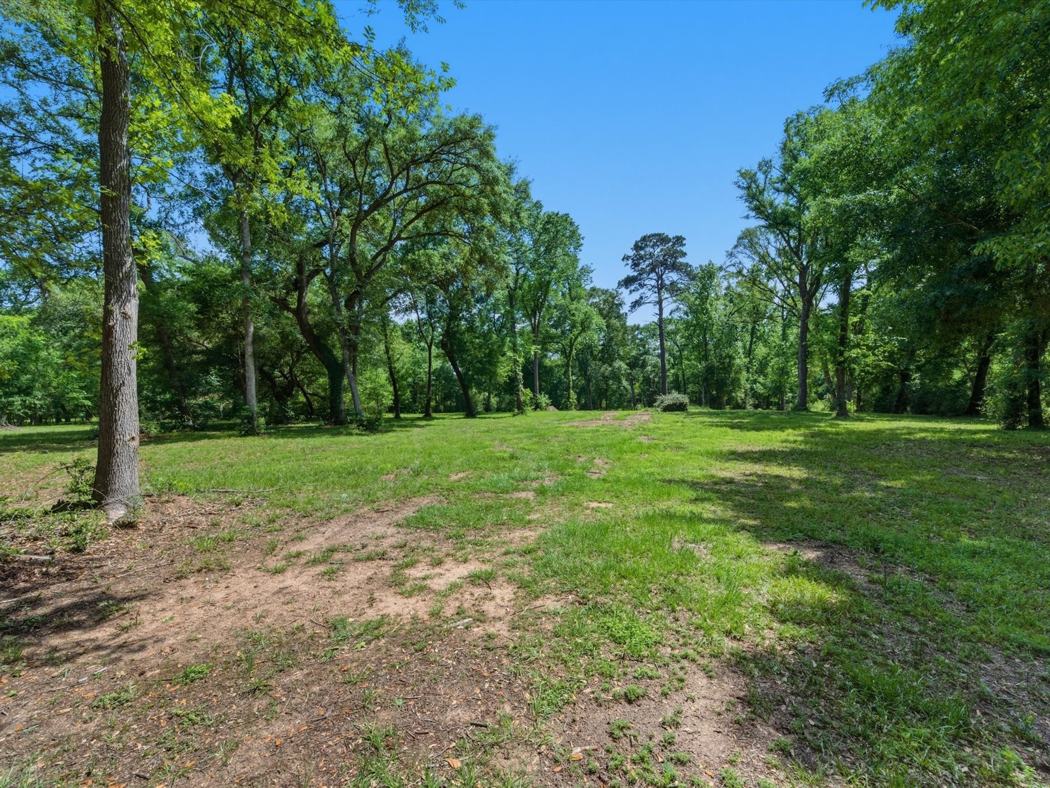 27855 Kresdorn Road Hockley, TX 77447 - Photo 18 of 24 a view of a grassy field with trees in the background
