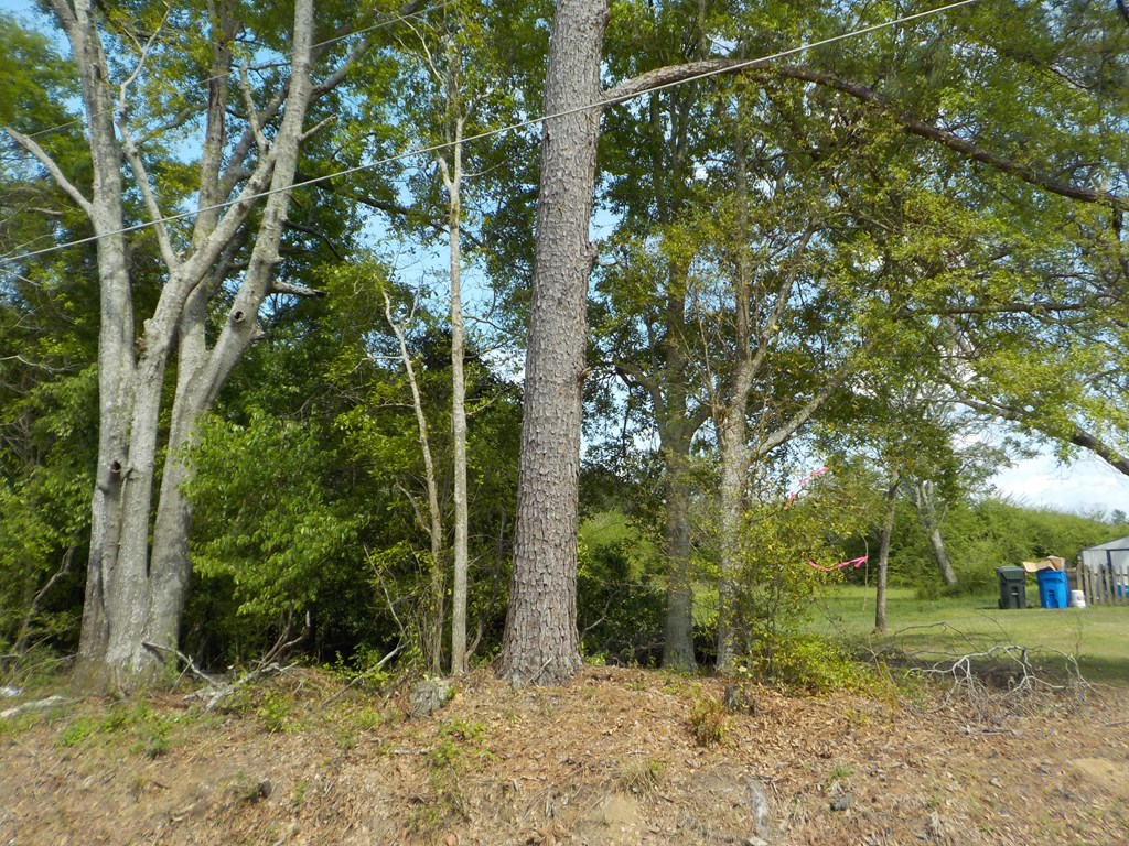 5.3-ac Memphis Church Road Dothan, AL 36301 - Photo 15 of 29