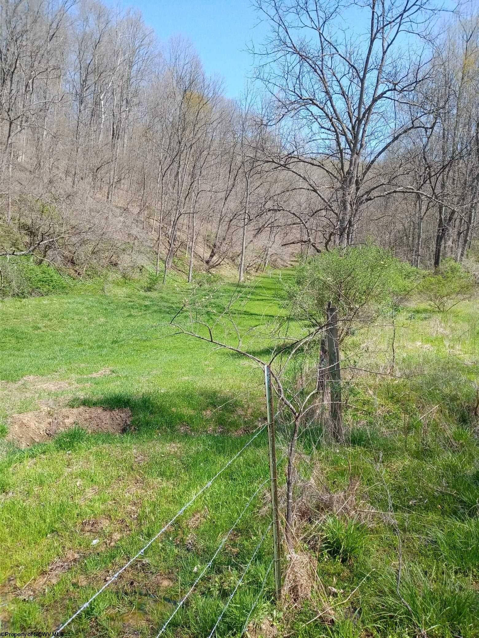 Tbd Buffalo Brink Road Mannington, WV 26582 - Photo 3 of 6 Gallery Image 3