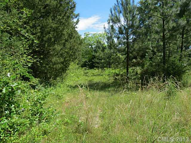 10-ac 10-ac Connor Road Chester, SC 29706 - Photo 2 of 16