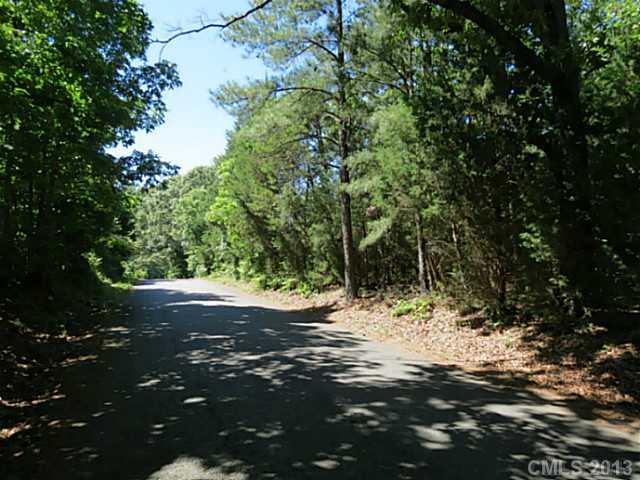 10-ac 10-ac Connor Road Chester, SC 29706 - Photo 3 of 16