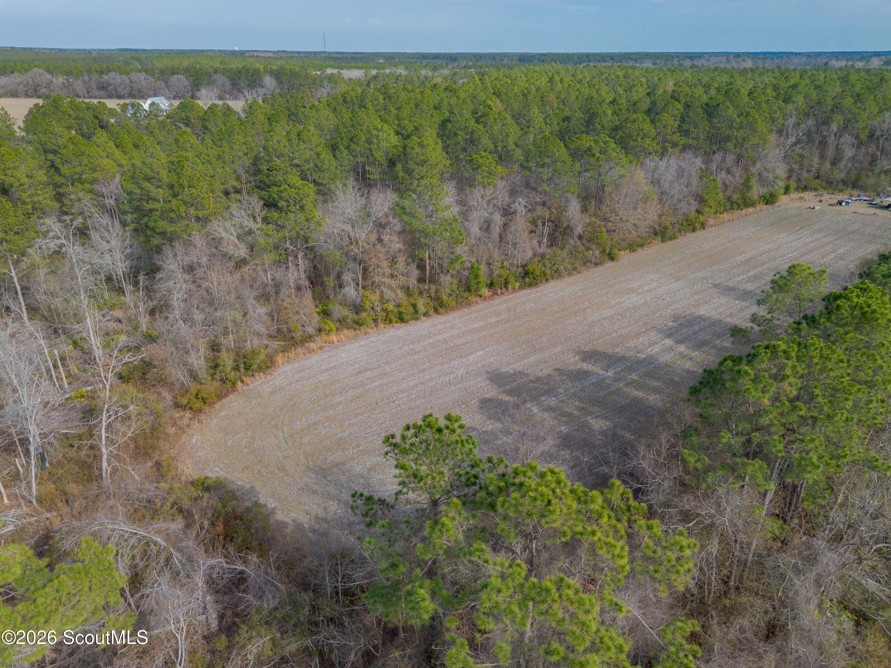 0 Reddish Road Odum, GA 31555 - Photo 17 of 46 230-AC-REDDISH-ODUM-16