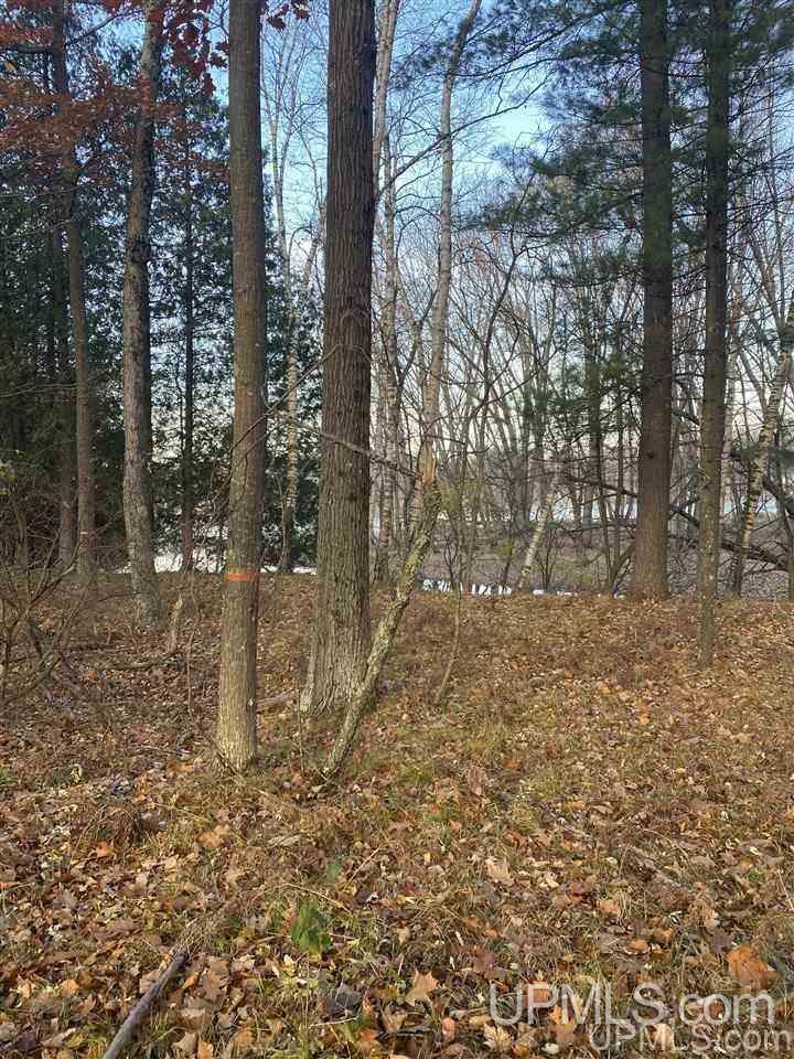 Tbd River Road, Unit 2 Wallace, MI 49893 - Photo 3 of 3