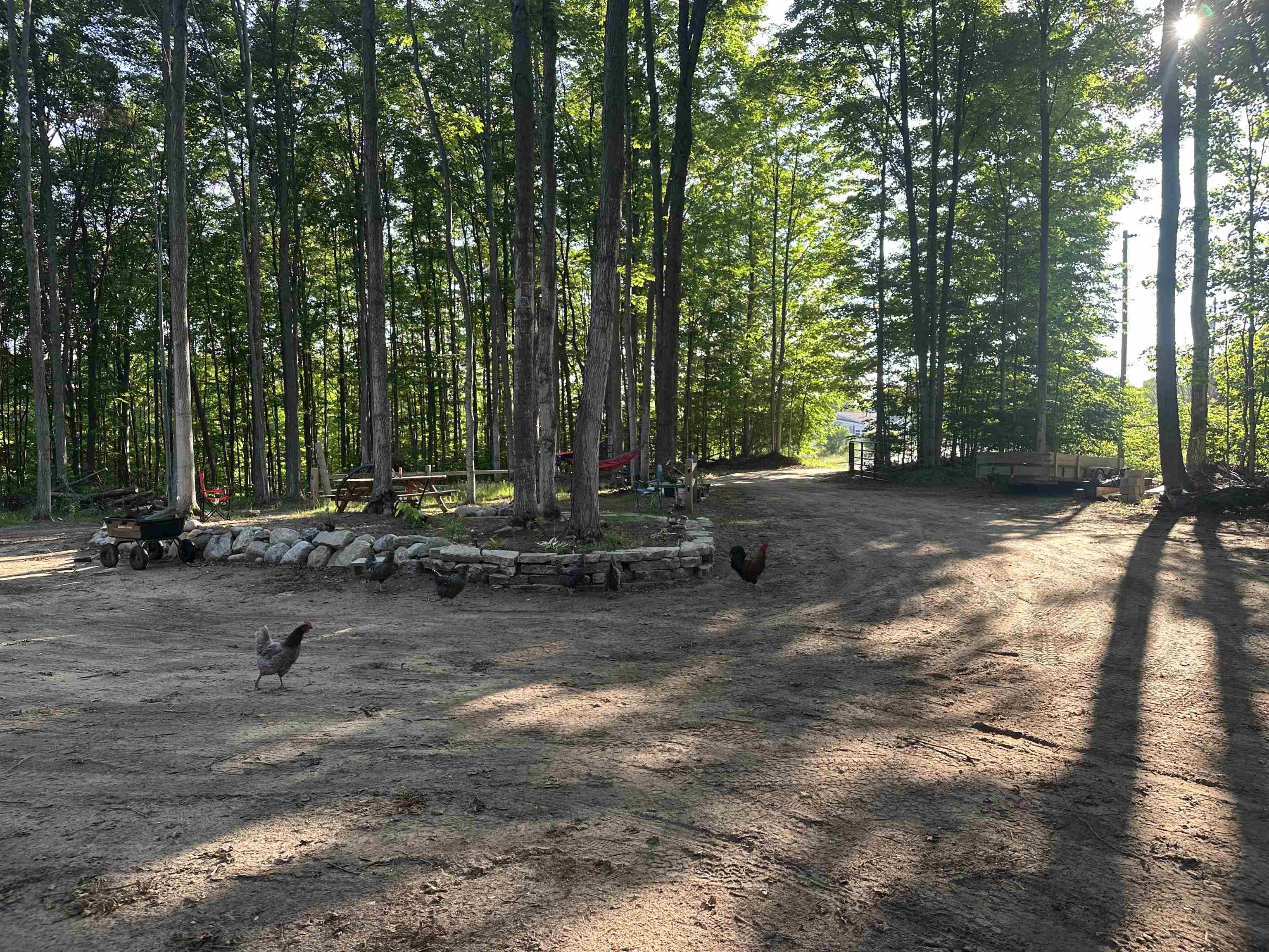 2243 Old State Road Beulah, MI 49617 - Photo 6 of 10