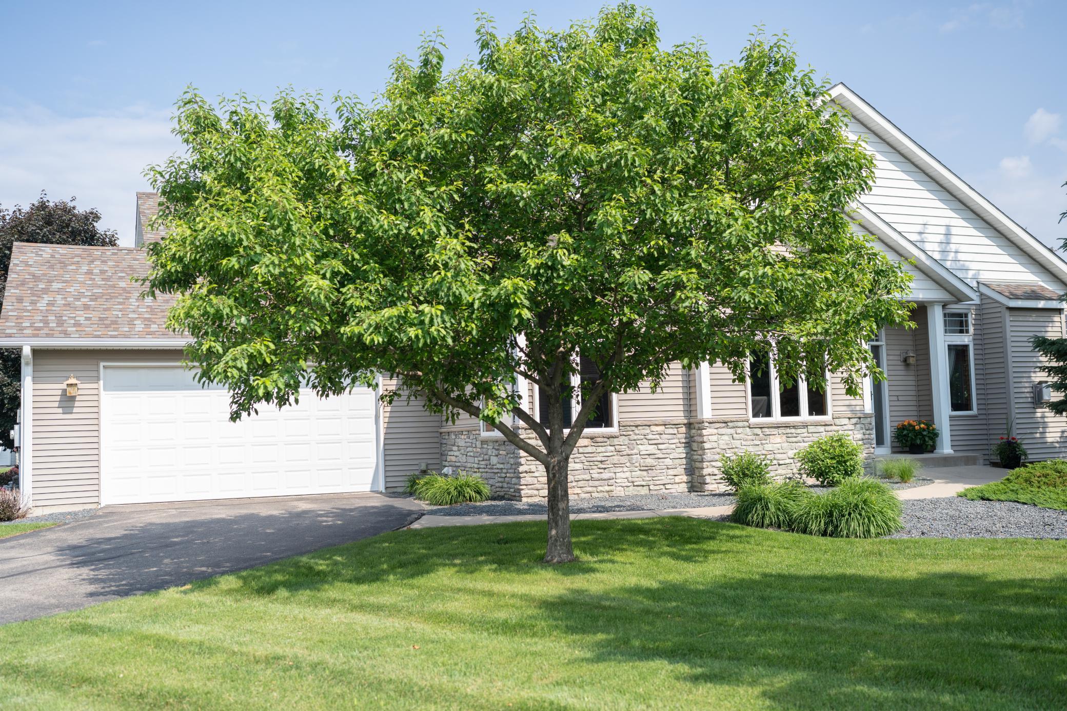 14578 Hunters Lane Savage, MN 55378 - Photo 2 of 80