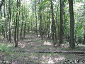 0 Little Beason Road Pennsboro, WV 26415 - Photo 11 of 12