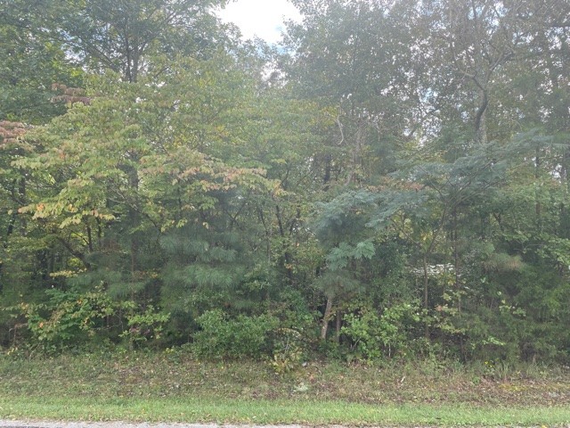 0 Old Seminary Road Manchester, TN 37355 - Photo 1 of 2 Gallery Image 1