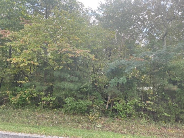 0 Old Seminary Road Manchester, TN 37355 - Photo 2 of 2 Gallery Image 2