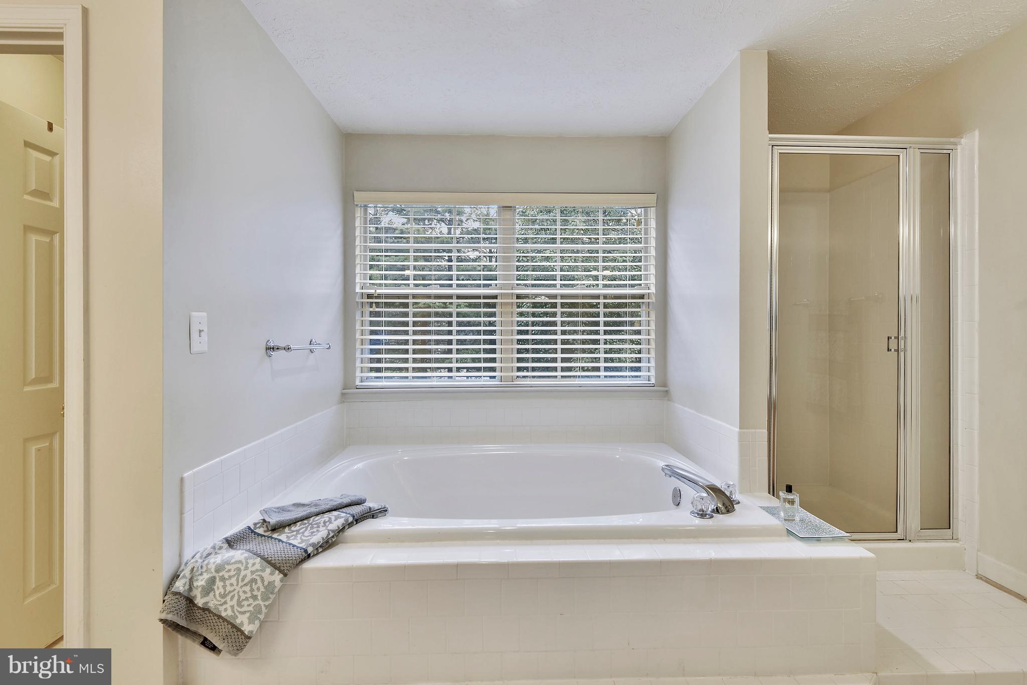 1202 Breckenridge Court Riva, MD 21140 - Photo 18 of 29 Bath (Master)