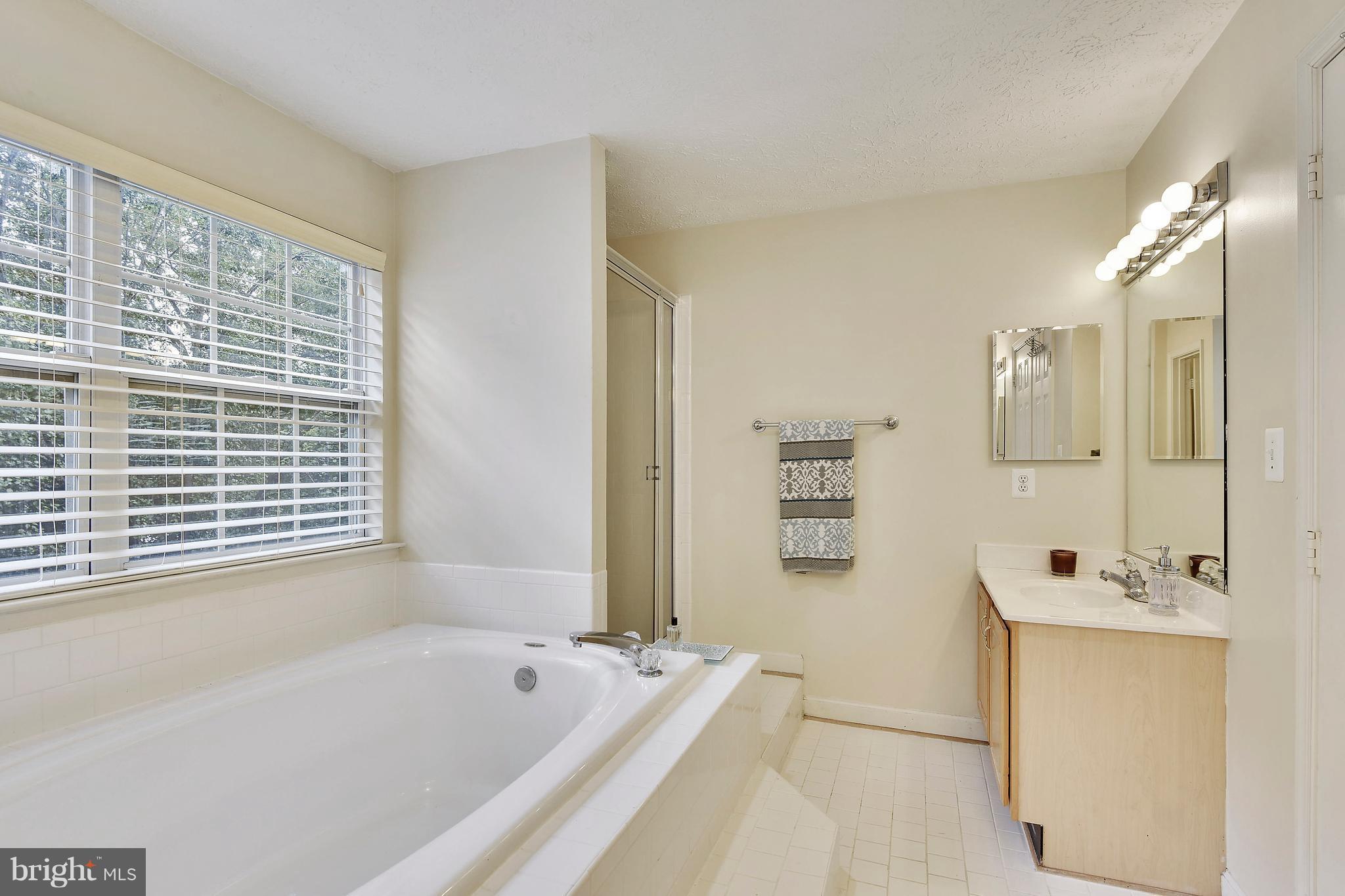 1202 Breckenridge Court Riva, MD 21140 - Photo 19 of 29 Bath (Master)