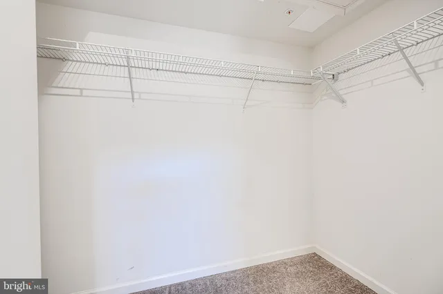 a bathroom with a shower and a shower head