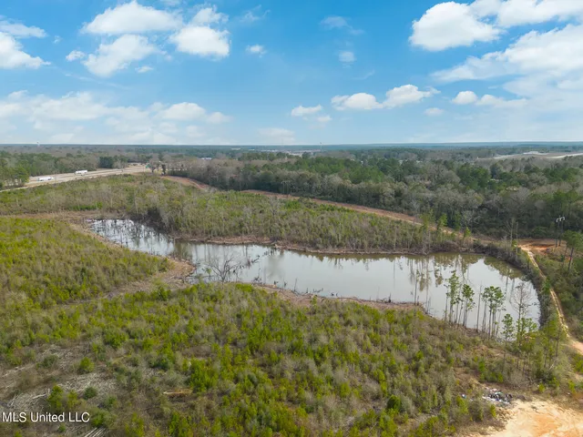 $750,000 | 0 West Frontage Drive, Wiggins, MS 39577