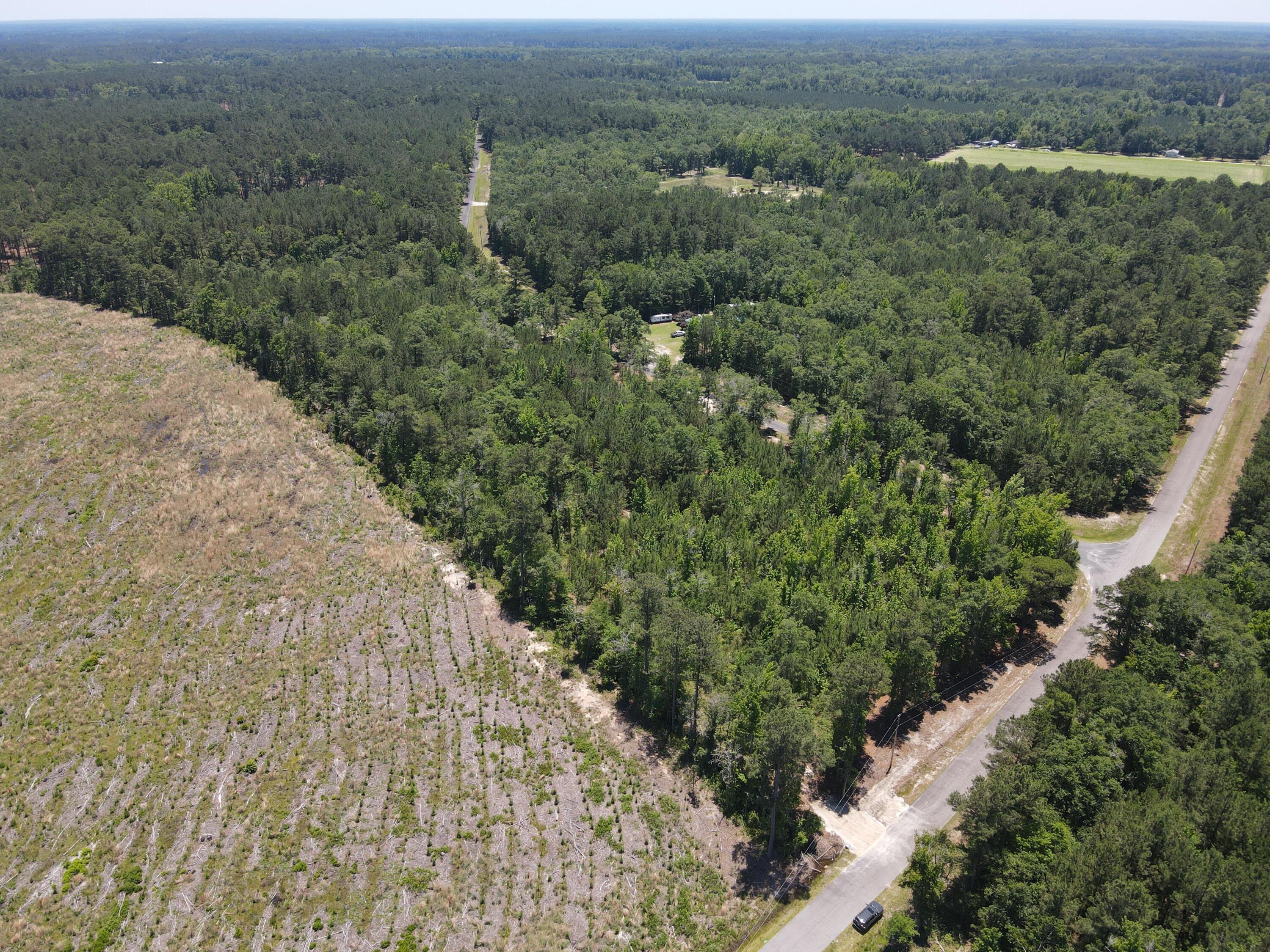 0 Tumbleweed Road Smoaks, SC 29481 - Photo 10 of 11