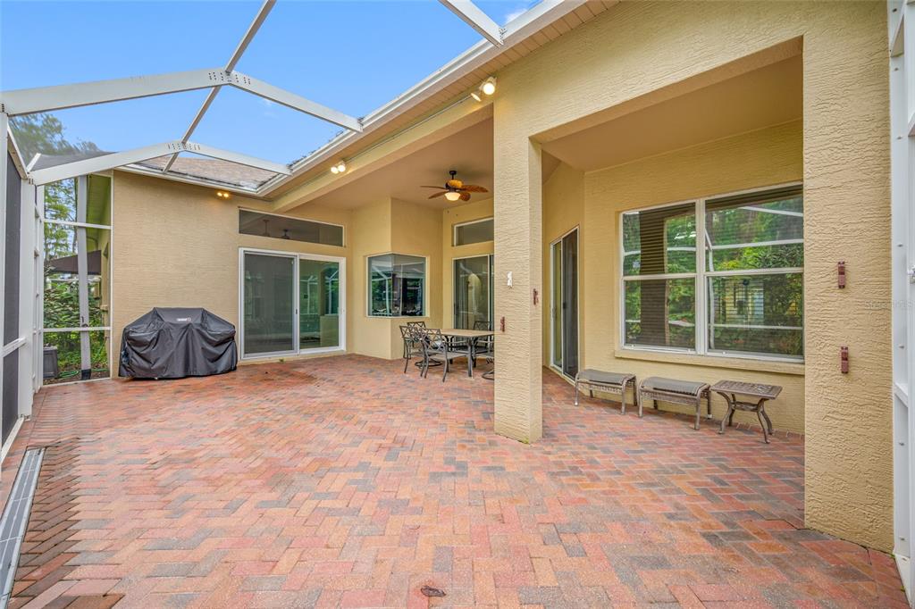 11421 Strathaven Court Trinity, FL 34655 - Photo 57 of 91 Gallery Image 57