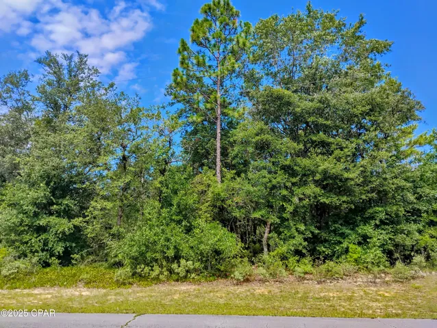 $15,000 | Lot 10 Challenger Boulevard, Chipley, FL 32428
