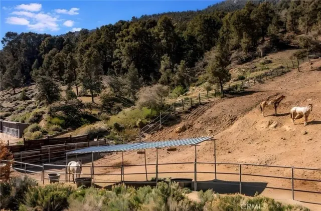 a view of street with large trees