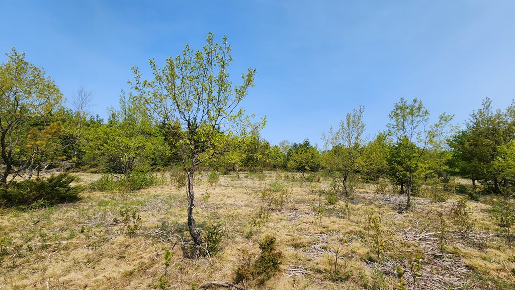 Lot 4 Wandering Down Road Fish Creek, WI 54212 - Photo 8 of 11