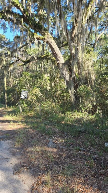 0 Mentionville Road Southwest Darien, GA 31305 - Photo 1 of 1 Gallery Image 1