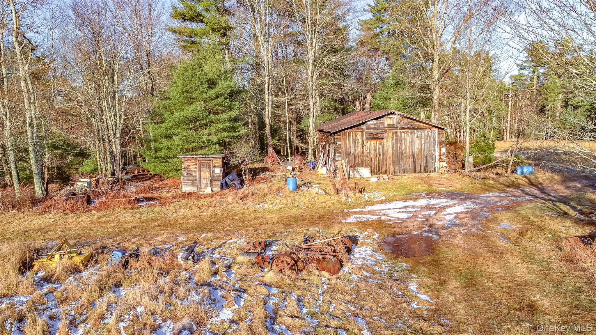 111 Mail Road Barryville, NY 12719 - Photo 11 of 34 View of yard with a forest view and a storage unit