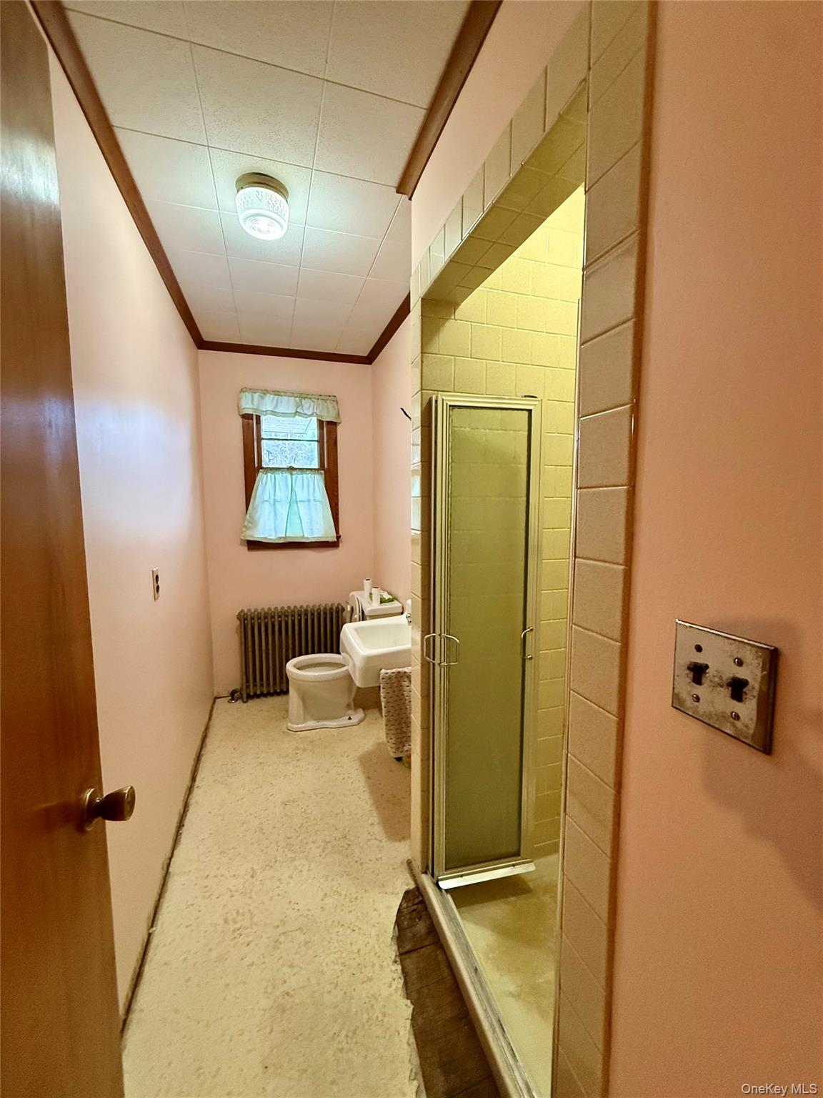 111 Mail Road Barryville, NY 12719 - Photo 28 of 34 Full bathroom featuring ornamental molding, a shower stall, radiator, and a bidet
