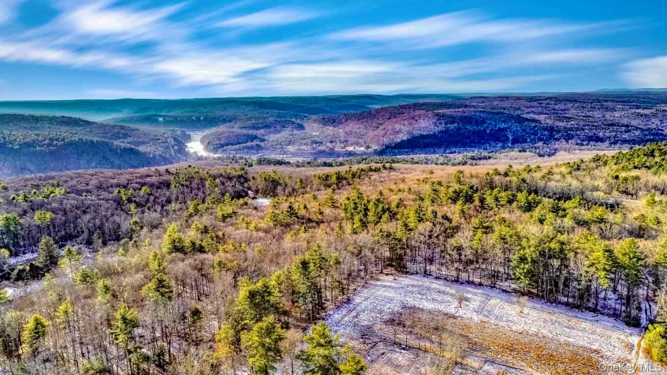 111 Mail Road Barryville, NY 12719 - Photo 32 of 34 Mountain view