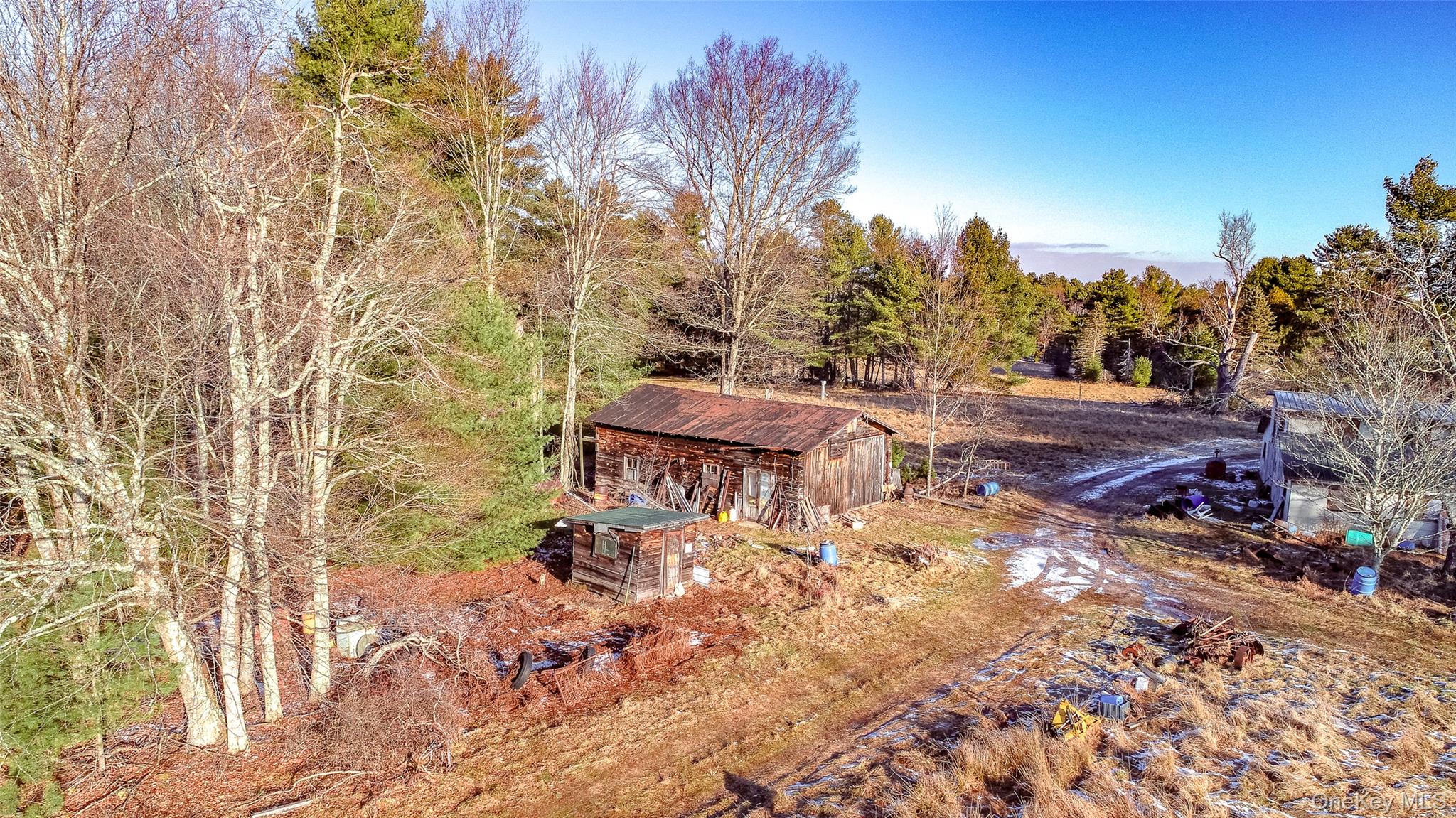 111 Mail Road Barryville, NY 12719 - Photo 10 of 34