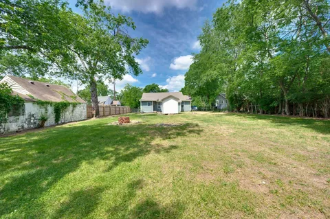 a view of a tree in a yard