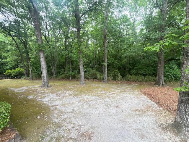 719 Fawn Circle Sumter, SC 29150 - Photo 10 of 44