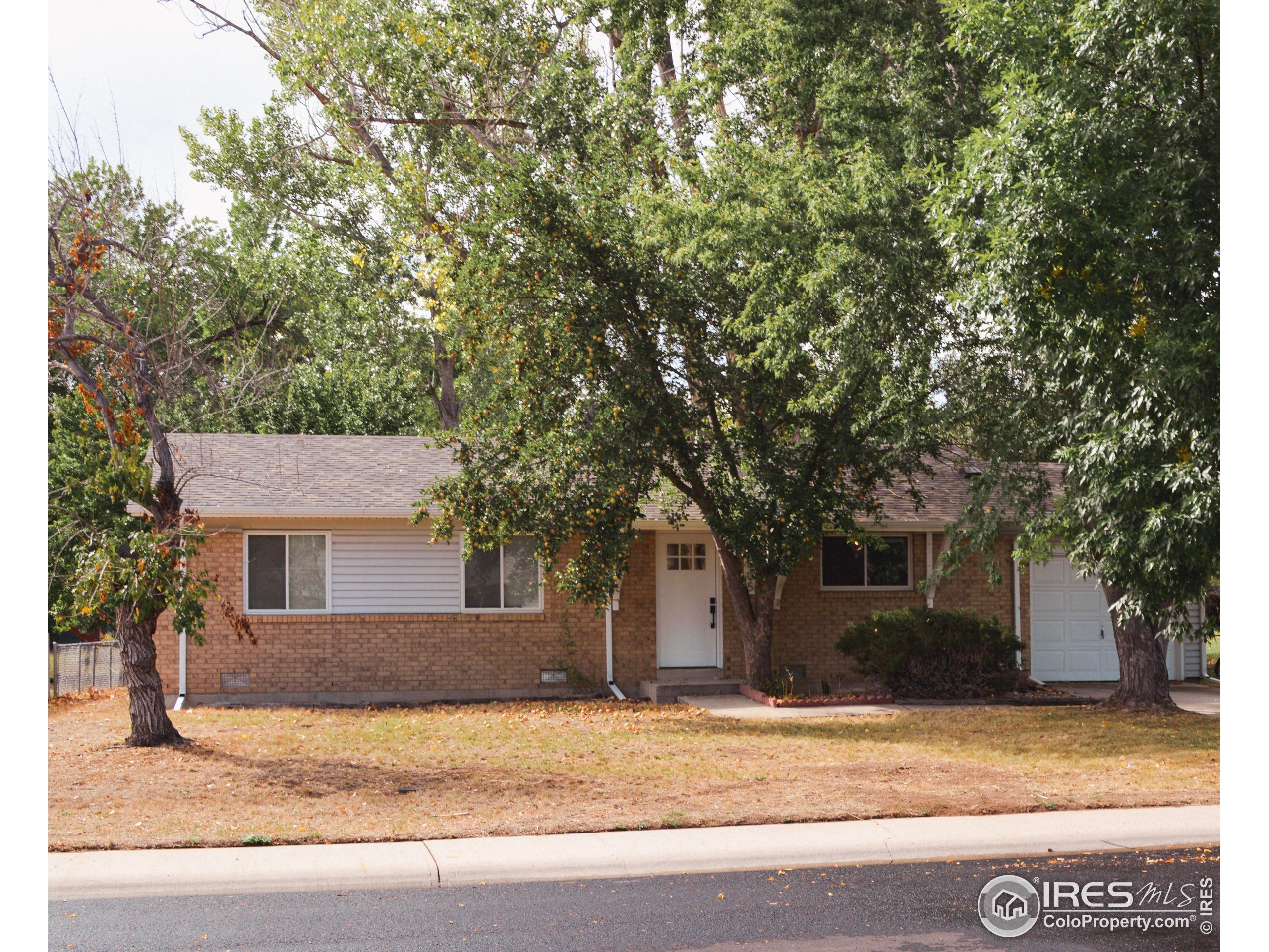 a house that has a tree in front of it