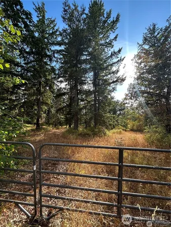a view of a yard