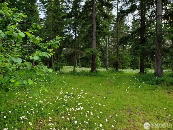 a view of green field