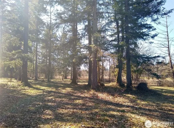 a view of yard with trees