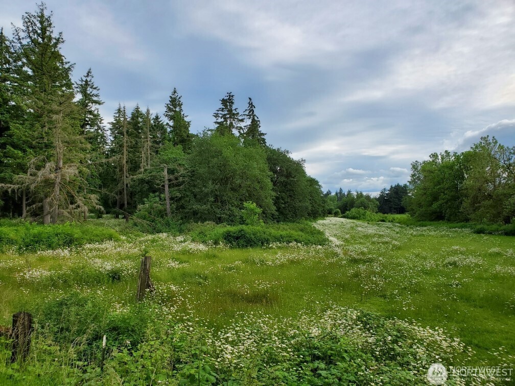 17837 Sargent Road Southwest Rochester, WA 98579 - Photo 4 of 12 a yard with lots of green space