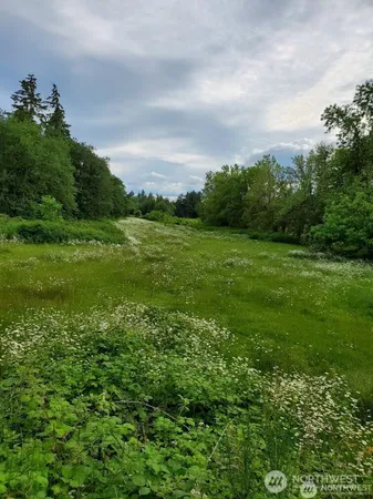 a view of a field of grass and trees