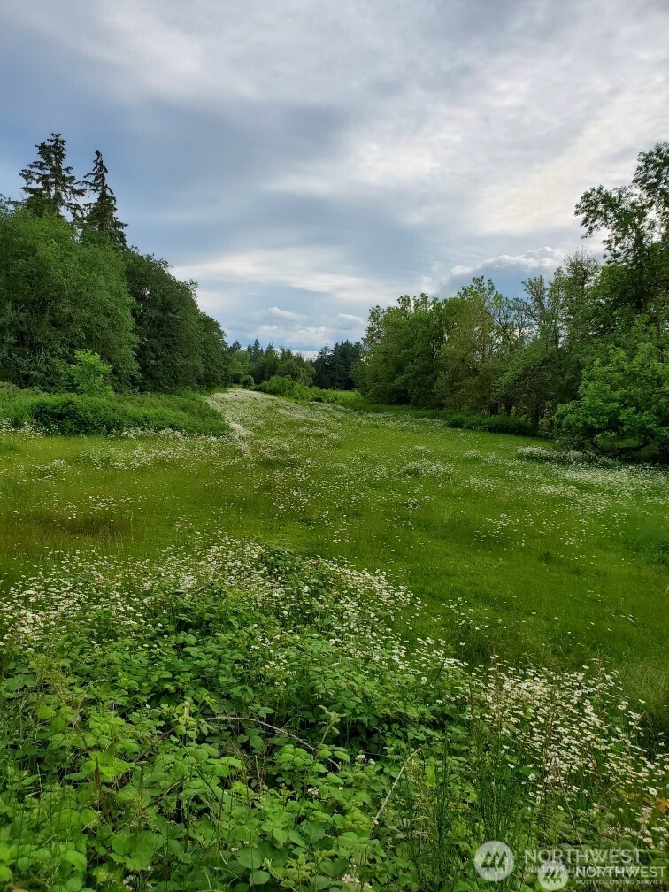 17837 Sargent Road Southwest Rochester, WA 98579 - Photo 5 of 12 a view of a field of grass and trees
