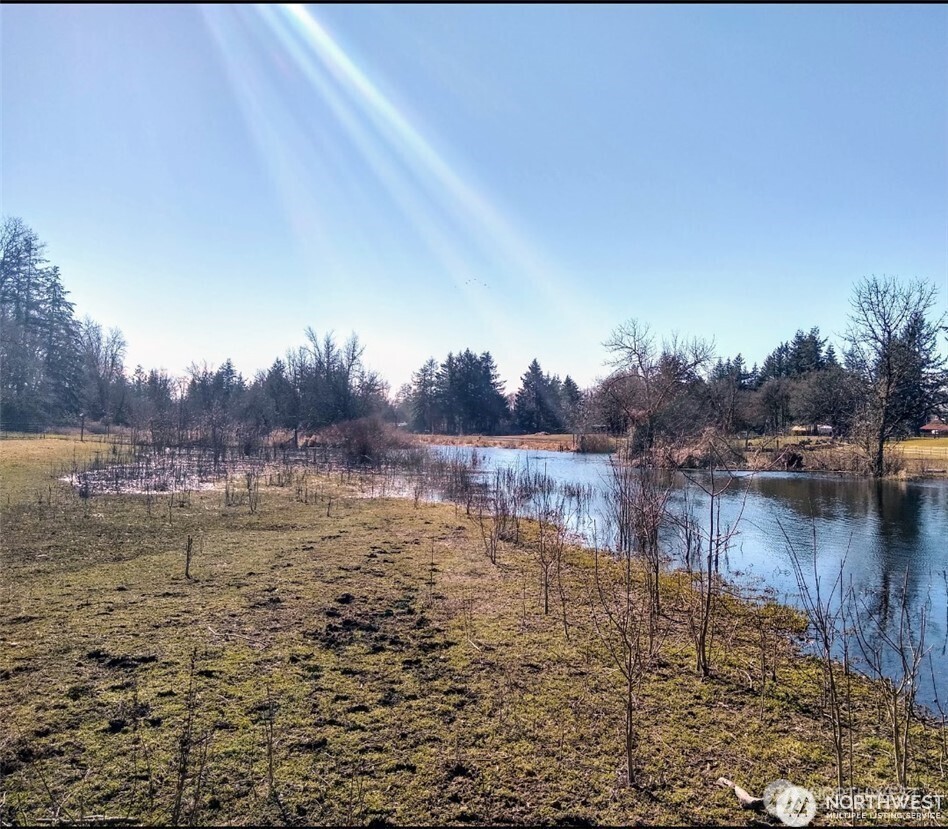 17837 Sargent Road Southwest Rochester, WA 98579 - Photo 7 of 12 a view of lake with boats and trees in the background