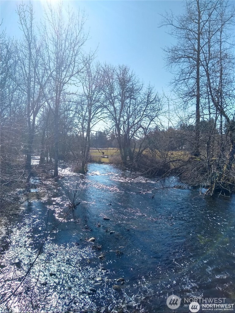 17837 Sargent Road Southwest Rochester, WA 98579 - Photo 9 of 12 a view of empty yard