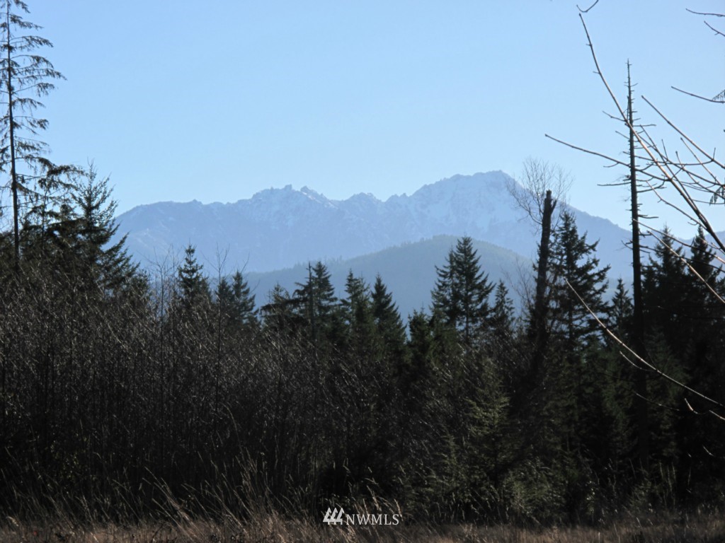 9999 Ranger Road, Unit LOT 4 Port Angeles, WA 98363 - Photo 1 of 13 Gallery Image 1