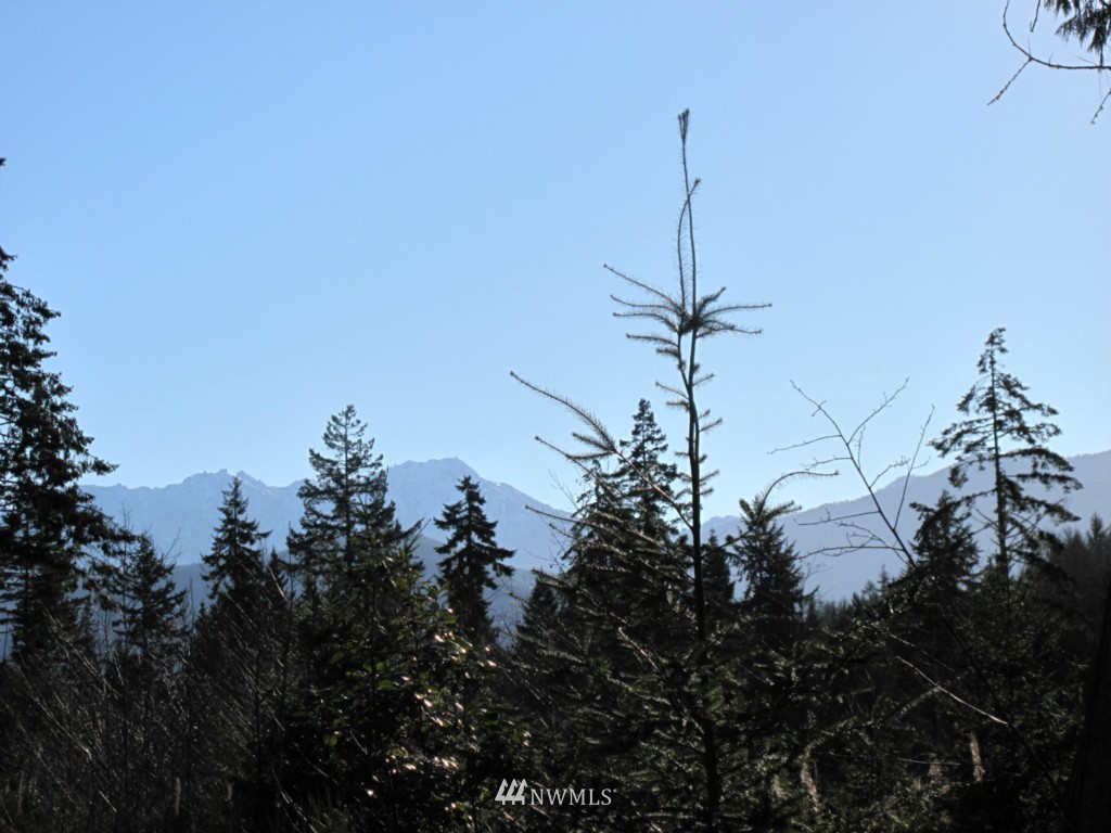 9999 Ranger Road, Unit LOT 4 Port Angeles, WA 98363 - Photo 11 of 13 Gallery Image 11