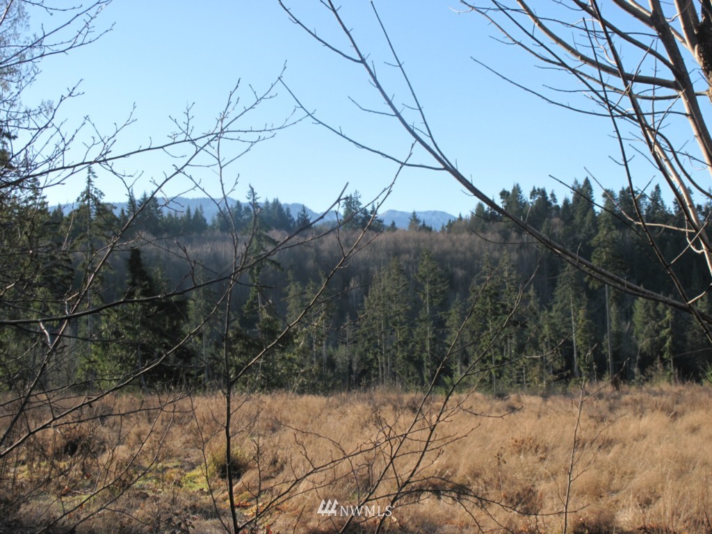9999 Ranger Road, Unit LOT 4 Port Angeles, WA 98363 - Photo 12 of 13 Gallery Image 12