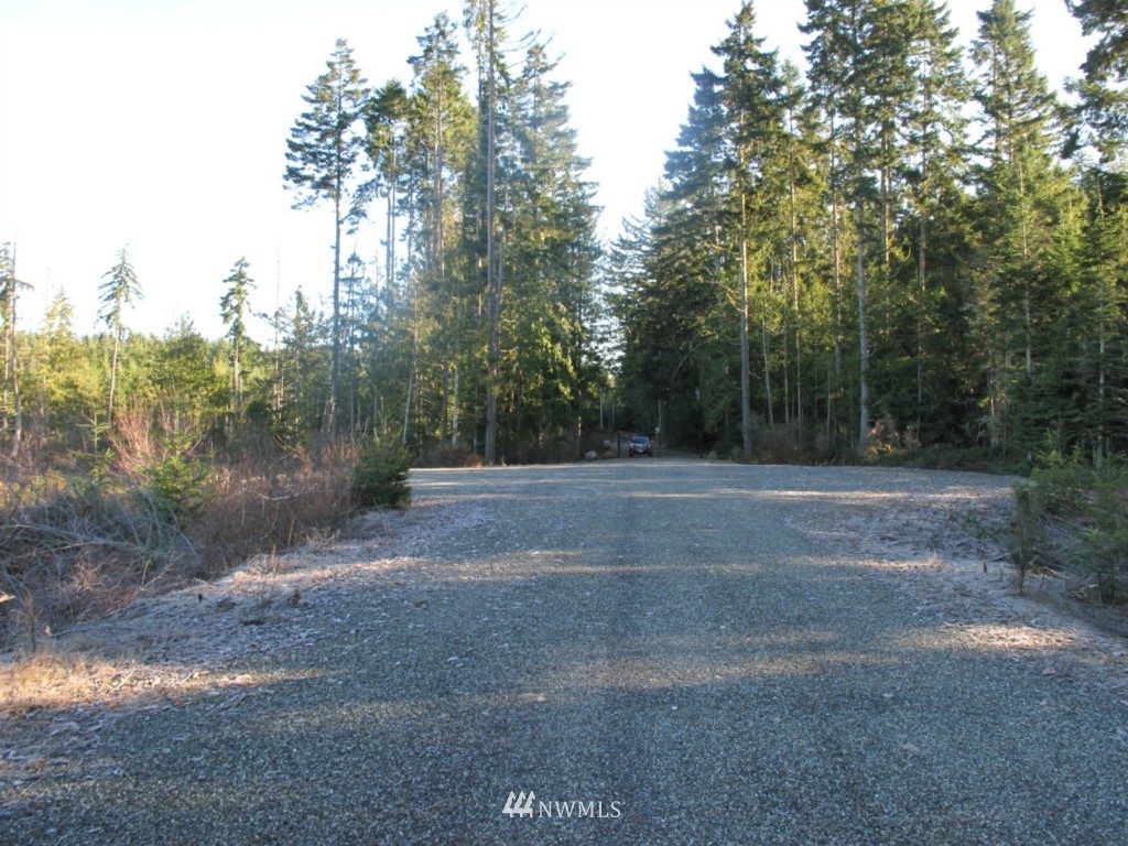 9999 Ranger Road, Unit LOT 4 Port Angeles, WA 98363 - Photo 3 of 13 Gallery Image 3