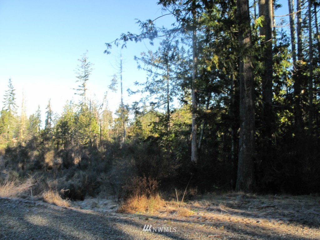 9999 Ranger Road, Unit LOT 4 Port Angeles, WA 98363 - Photo 4 of 13 Gallery Image 4