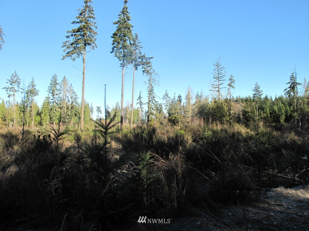 9999 Ranger Road, Unit LOT 4 Port Angeles, WA 98363 - Photo 6 of 13 Gallery Image 6