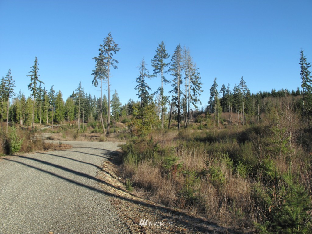 9999 Ranger Road, Unit LOT 4 Port Angeles, WA 98363 - Photo 7 of 13 Gallery Image 7