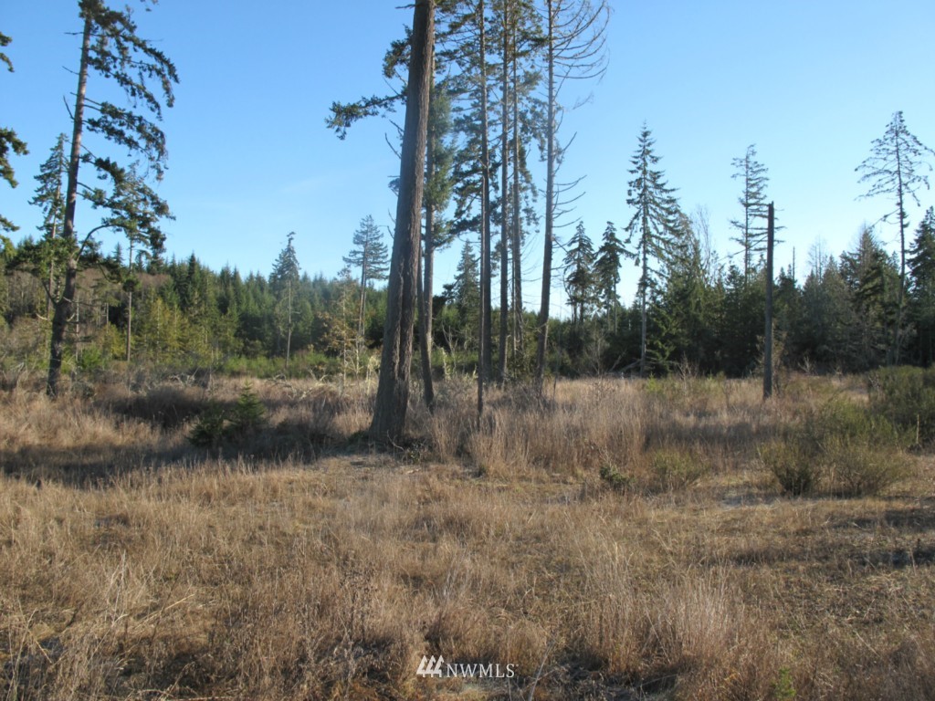 9999 Ranger Road, Unit LOT 4 Port Angeles, WA 98363 - Photo 8 of 13 Gallery Image 8