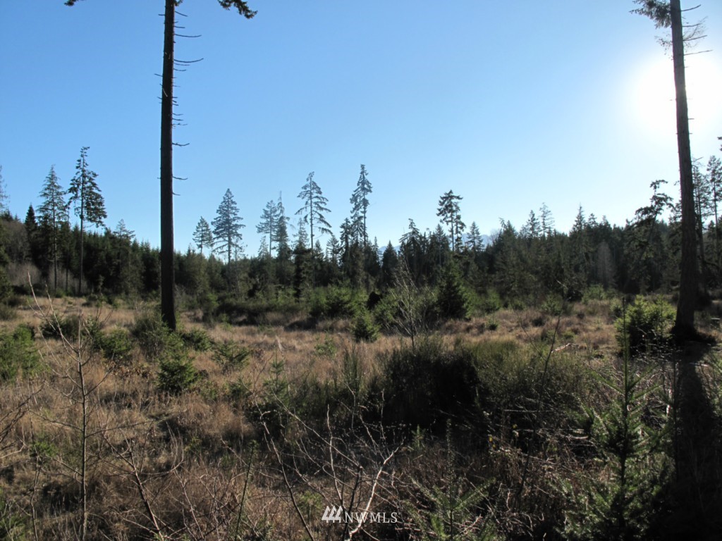 9999 Ranger Road, Unit LOT 4 Port Angeles, WA 98363 - Photo 9 of 13 Gallery Image 9